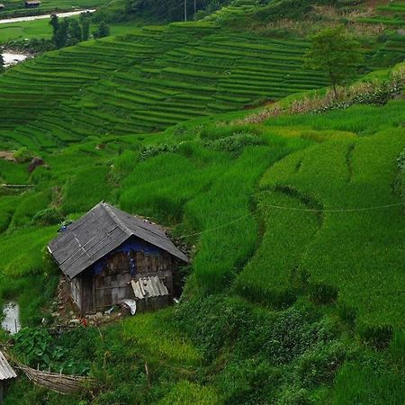 Freedom Homestay & Trekking Sapa Bagian luar foto