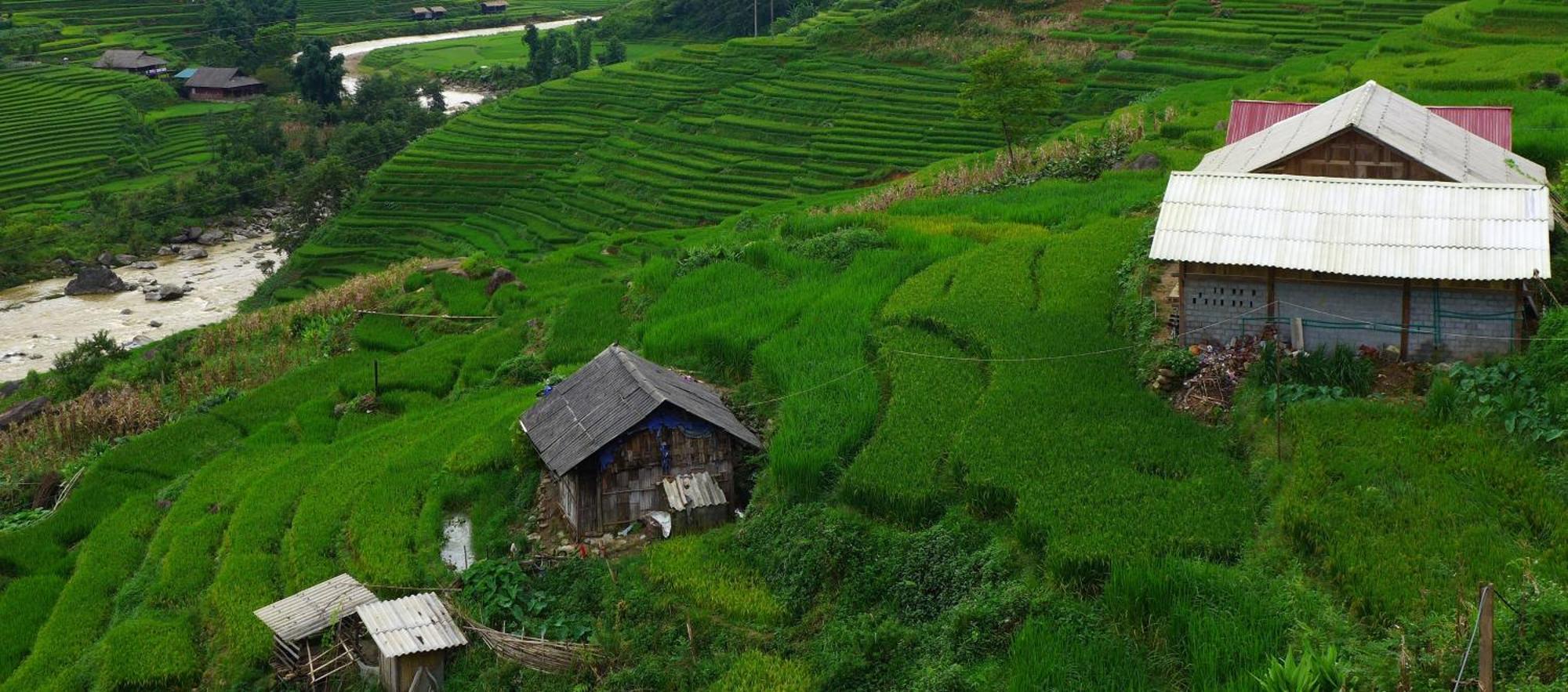 Freedom Homestay & Trekking Sapa Bagian luar foto
