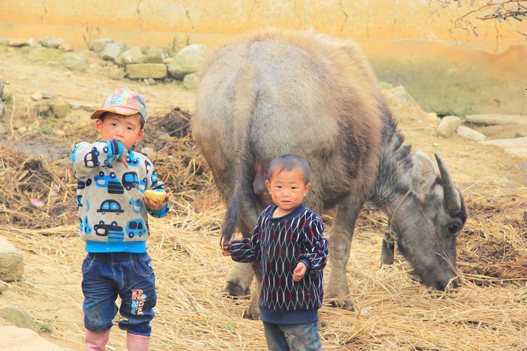 Freedom Homestay & Trekking Sapa Bagian luar foto
