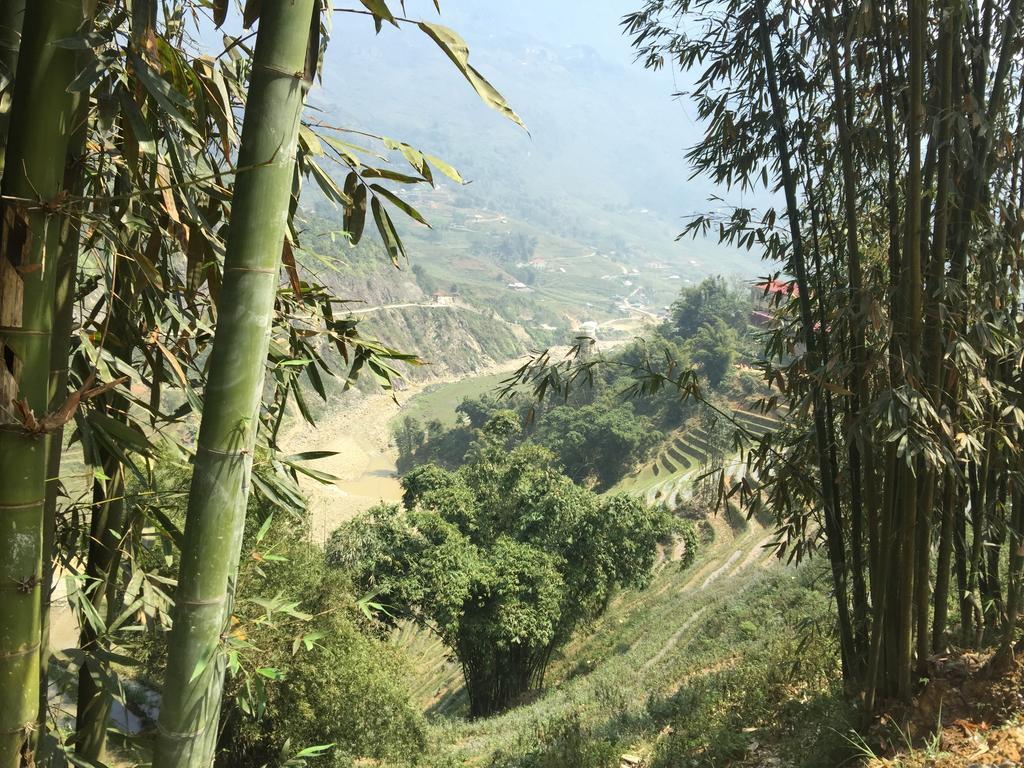 Freedom Homestay & Trekking Sapa Bagian luar foto