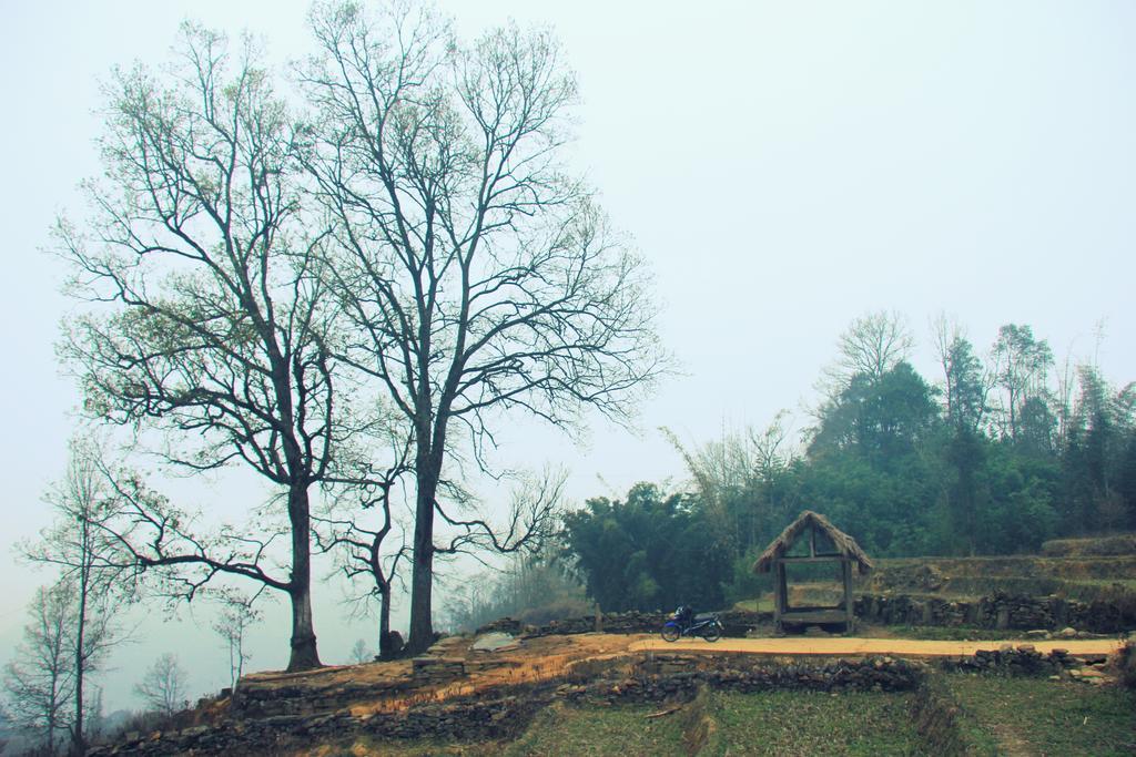 Freedom Homestay & Trekking Sapa Bagian luar foto