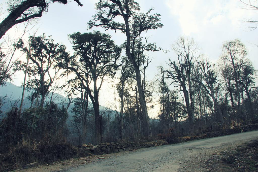Freedom Homestay & Trekking Sapa Bagian luar foto