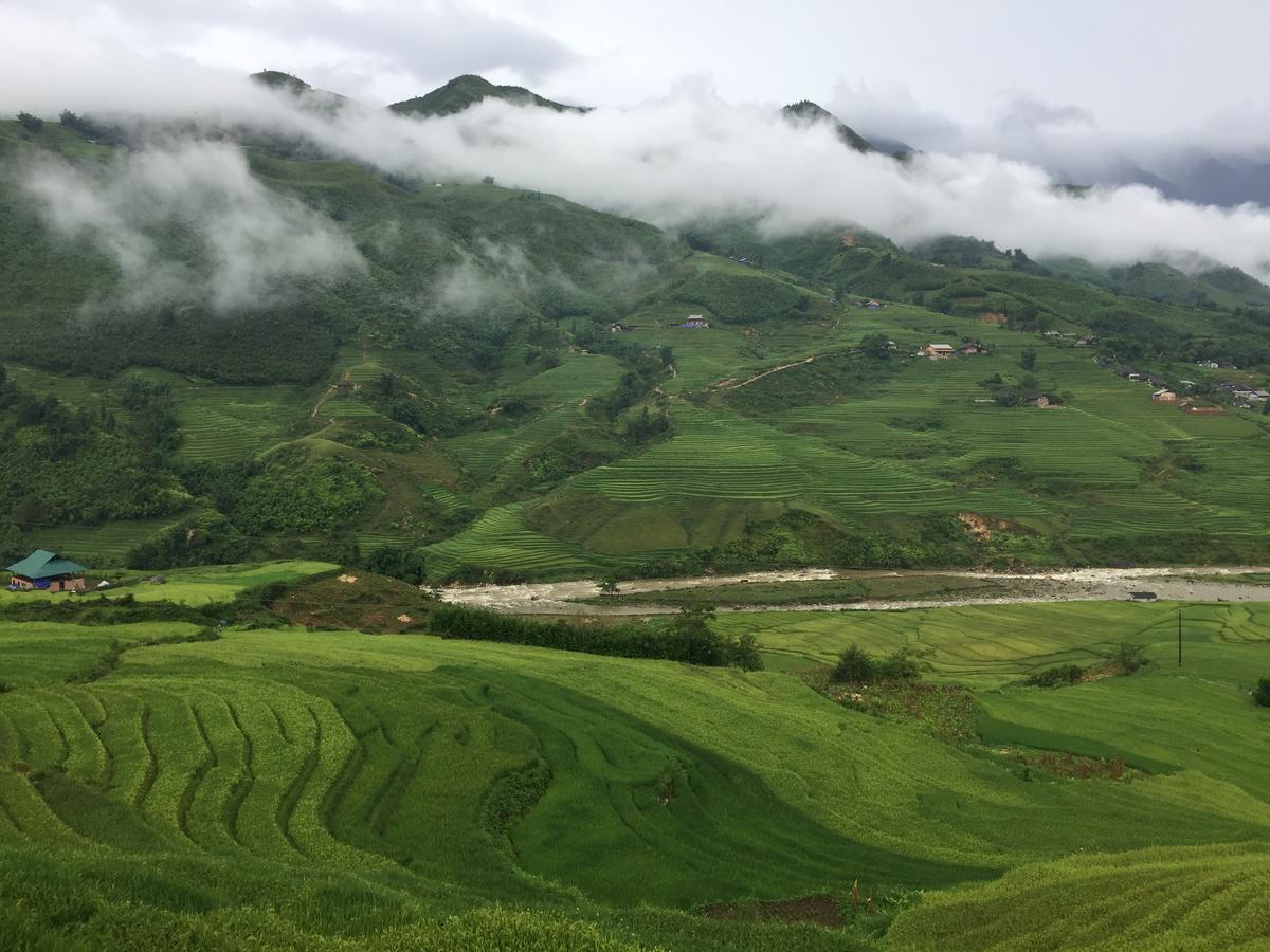 Freedom Homestay & Trekking Sapa Bagian luar foto