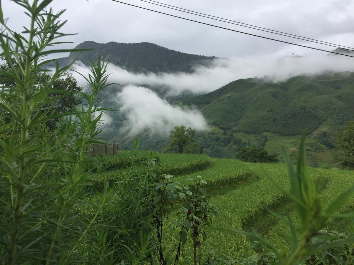 Freedom Homestay & Trekking Sapa Bagian luar foto