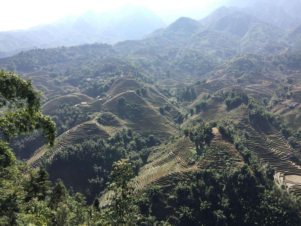 Freedom Homestay & Trekking Sapa Bagian luar foto