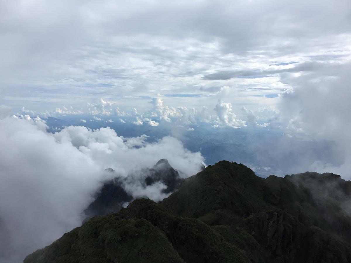 Freedom Homestay & Trekking Sapa Bagian luar foto